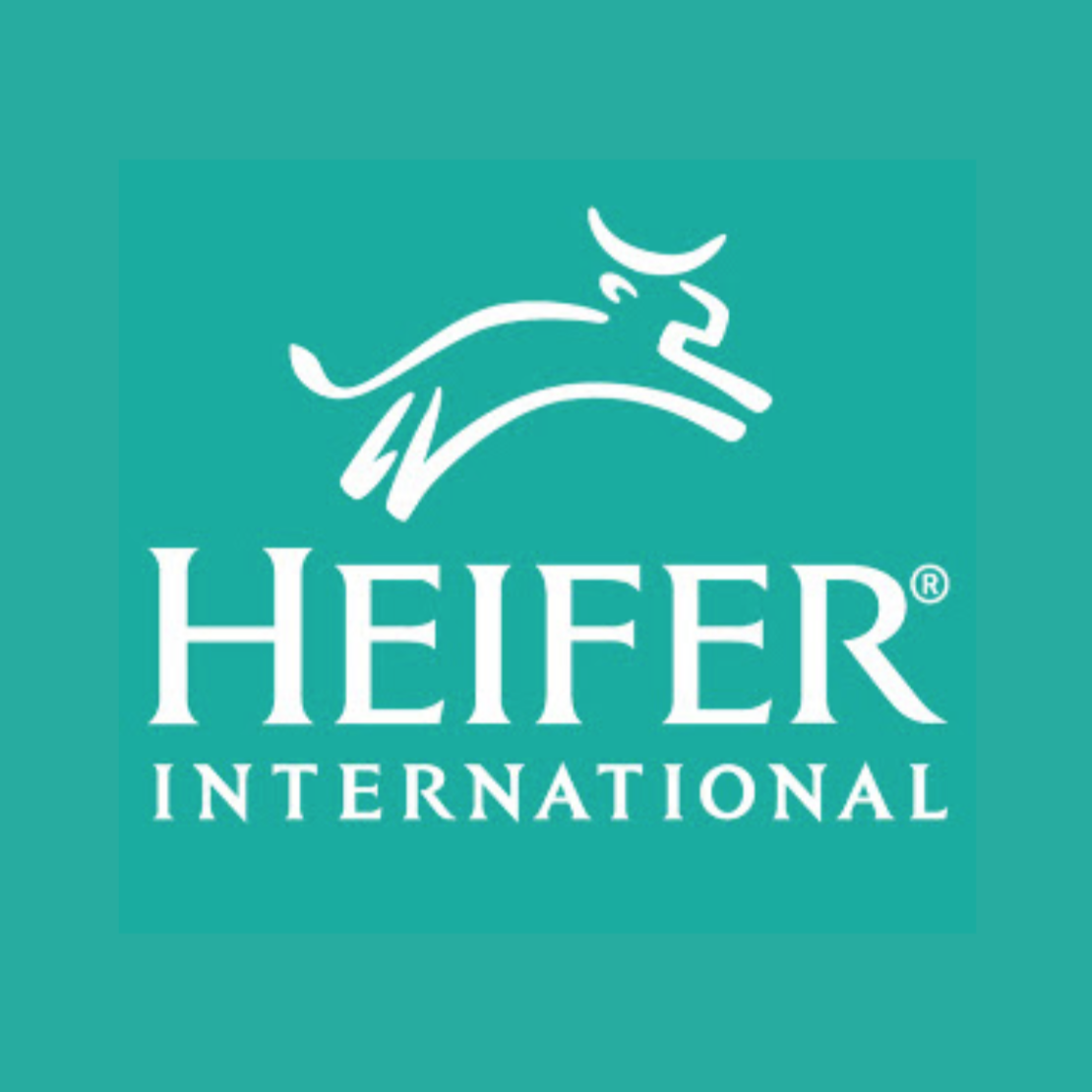 heifer international